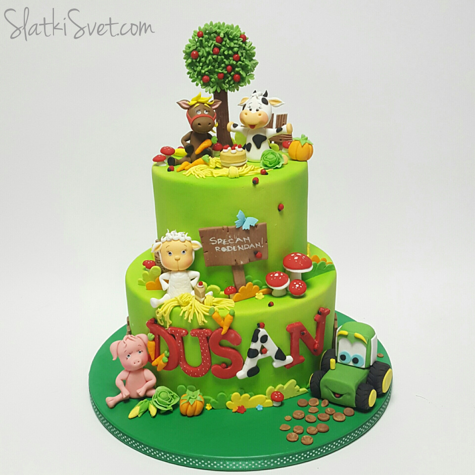 Najlepse rodjendanske torte 95